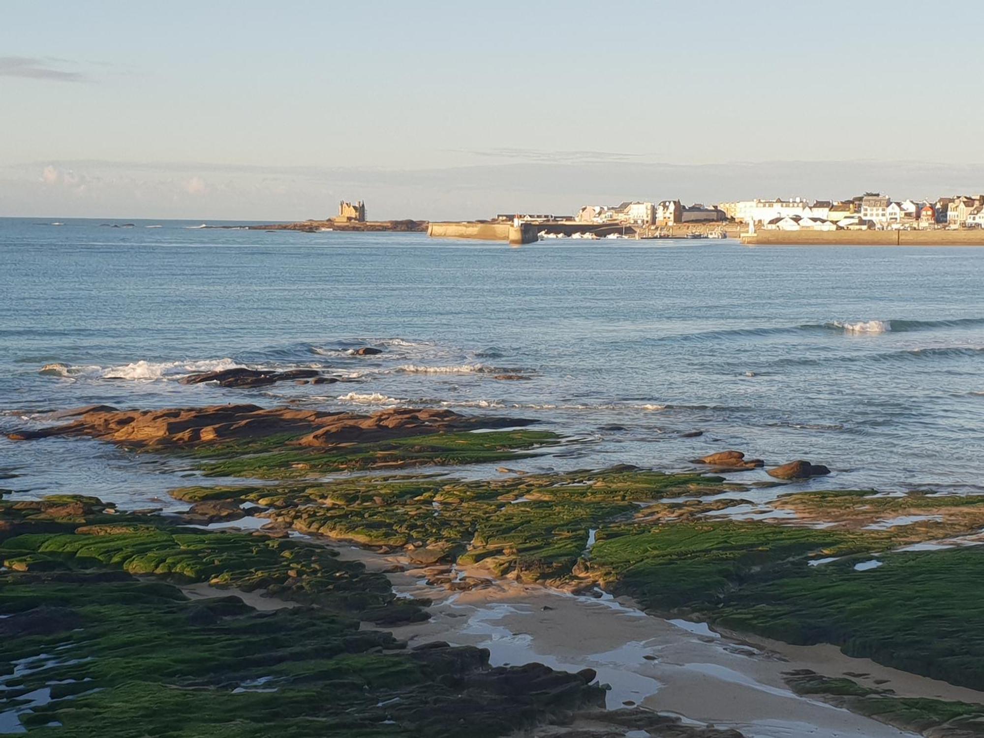Appartement Cocon A Quiberon Dans Residence Calme, Plages Et Centre Ville A Pied Ou A Velo Pour 2 A 4 Personnes Exteriör bild