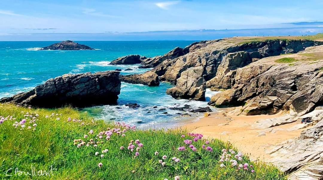 Appartement Cocon A Quiberon Dans Residence Calme, Plages Et Centre Ville A Pied Ou A Velo Pour 2 A 4 Personnes Exteriör bild
