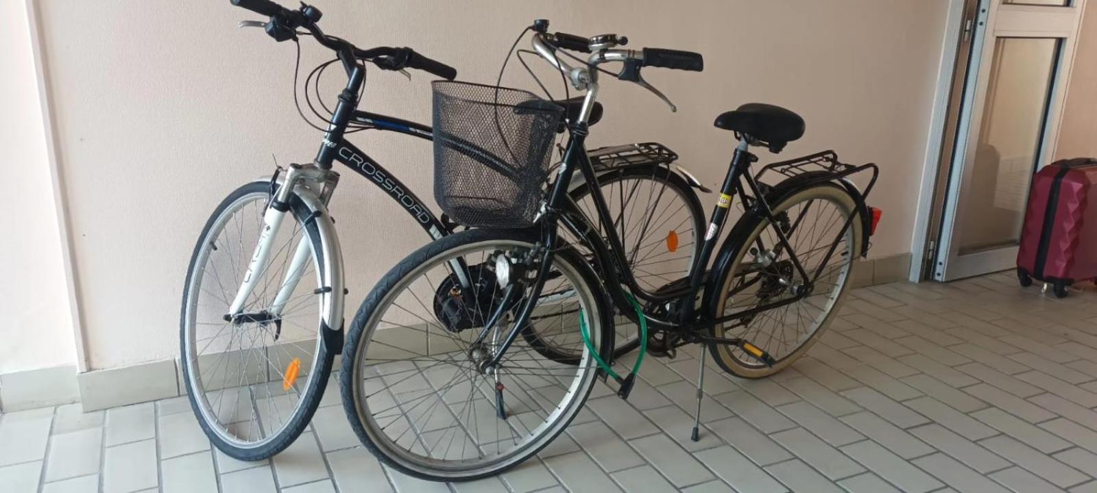 Appartement Cocon A Quiberon Dans Residence Calme, Plages Et Centre Ville A Pied Ou A Velo Pour 2 A 4 Personnes Exteriör bild